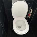 Cat-costa-sa-motezi-un-vas-de-wc